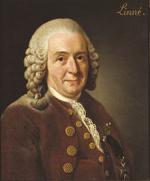photo Carolus Linnaeus