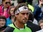 photo David Ferrer